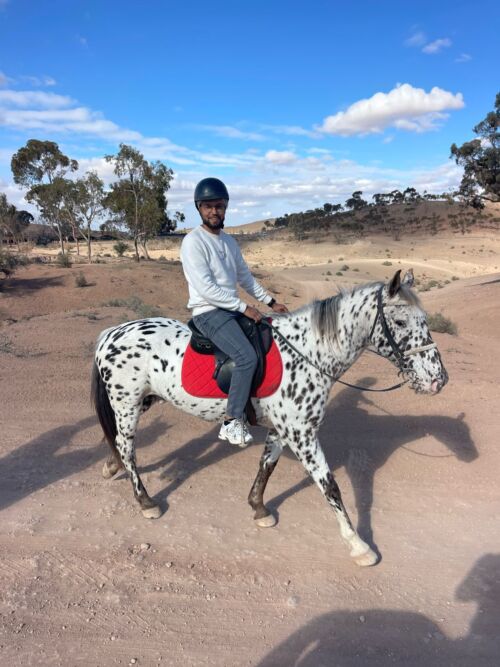 Black Stallion - Horse Riding / Balade à cheval